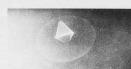 Costa Rica UFO Photograph